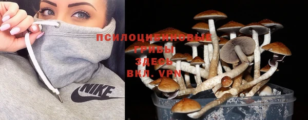метамфетамин Верея