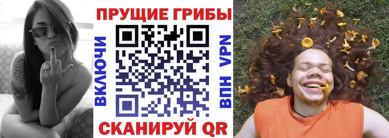 Галлюциногенные грибы мицелий  хочу наркоту  Новомичуринск 